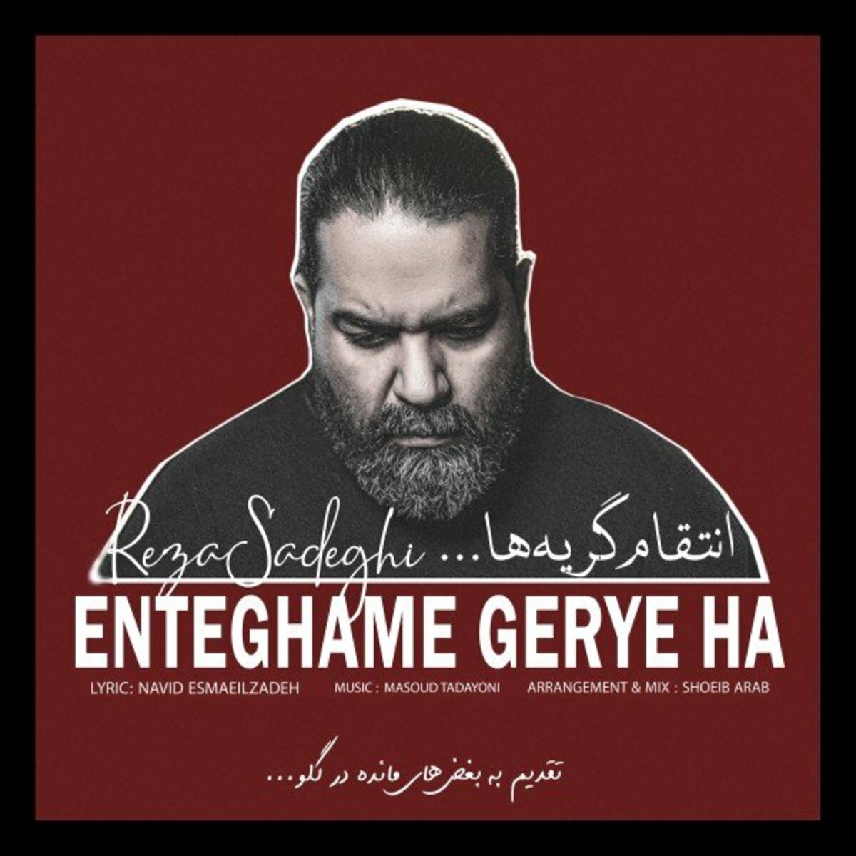دانلود آهنگ انتقام گریه ها رضا صادقی